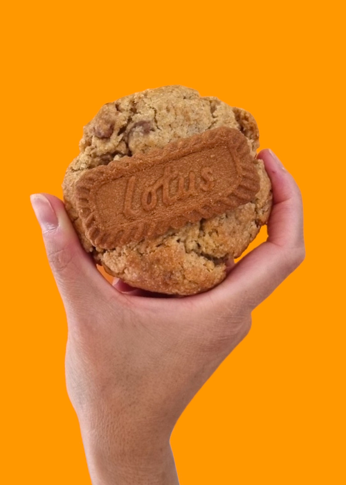 COOKIE LOTUS BISCOFF