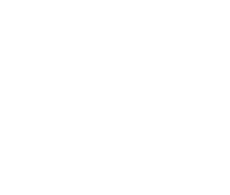 La Tortista